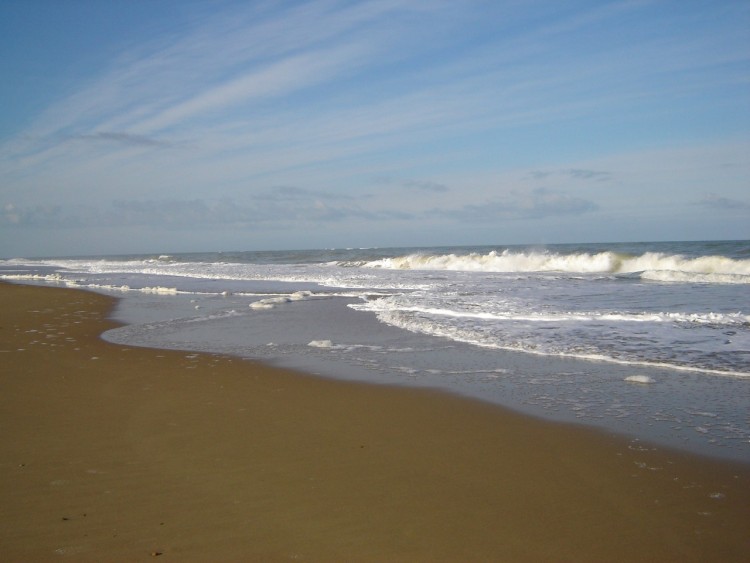 Fonds d'cran Nature Mers - Ocans - Plages Cte Sauvage