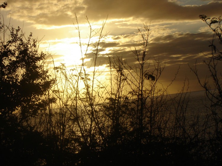 Fonds d'cran Nature Couchers et levers de Soleil Couch de soleil