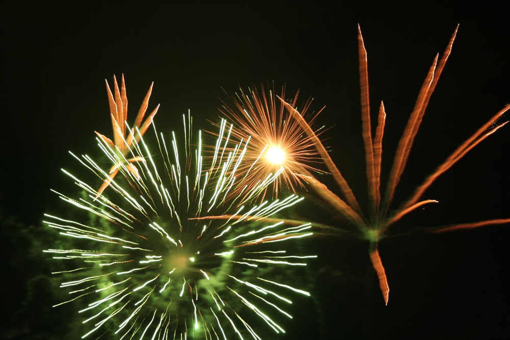 Fonds d'cran Hommes - Evnements Feux d'Artifice 