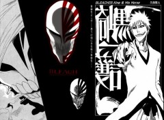 Wallpapers Manga bleach