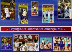 Fonds d'cran Sports - Loisirs Equipe de France Volley-Ball