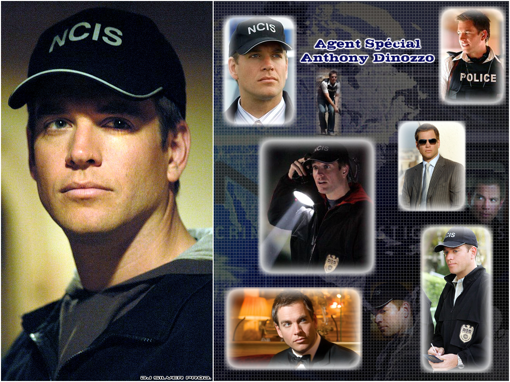 Wallpapers TV Soaps NCIS Anthony Dinozzo