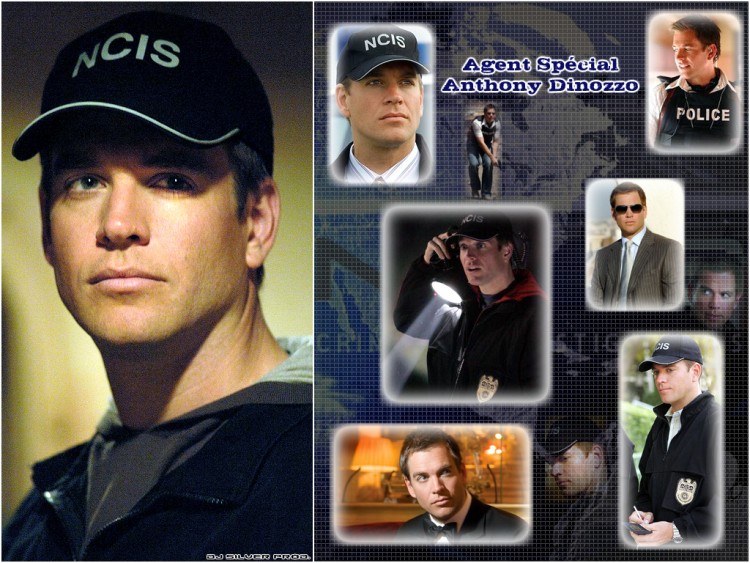 Fonds d'cran Sries TV NCIS : Enqutes Spciales Anthony Dinozzo