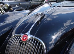 Fonds d'cran Voitures Jaguar XK