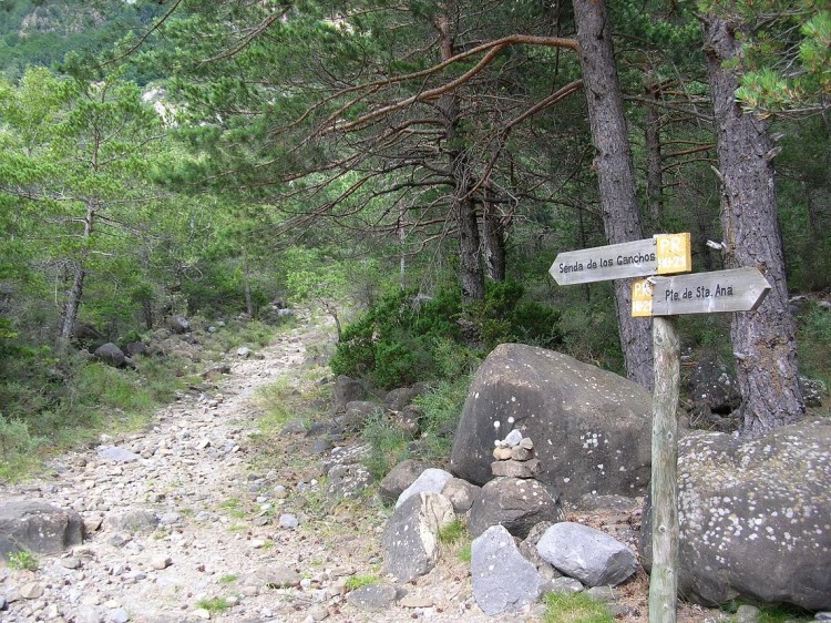 Fonds d'cran Nature Paysages Chemin