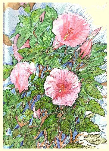 Fonds d'cran Art - Peinture Fleurs Hibiscus