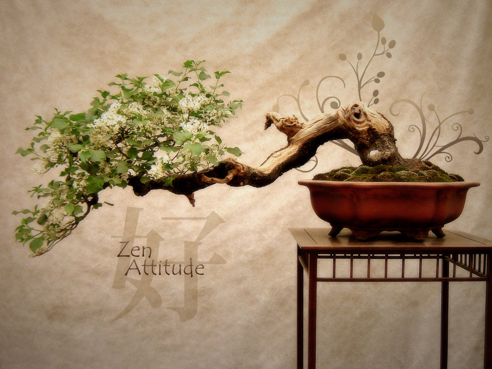 Wallpapers Digital Art Nature - Trees, plants Zen Attitude