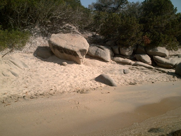 Wallpapers Nature Seas - Oceans - Beaches La plage de Bruzzi (Corse-Pianottoli Caldarello)