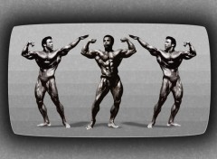 Fonds d'cran Sports - Loisirs 3 body builders