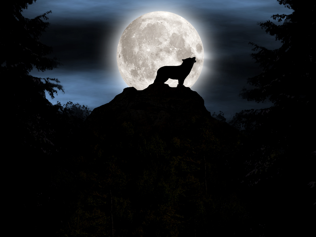 Wallpapers Animals Wolves 