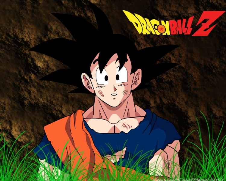 Fonds d'cran Manga Dragon Ball Z Dragon Ball(vs2)