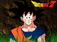 Fonds d'cran Manga Dragon Ball(vs2)