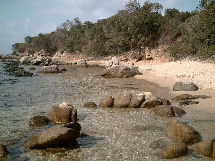 Wallpapers Nature Seas - Oceans - Beaches Plage de Bruzzi(Corse)