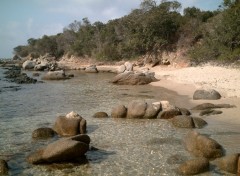 Wallpapers Nature Plage de Bruzzi(Corse)