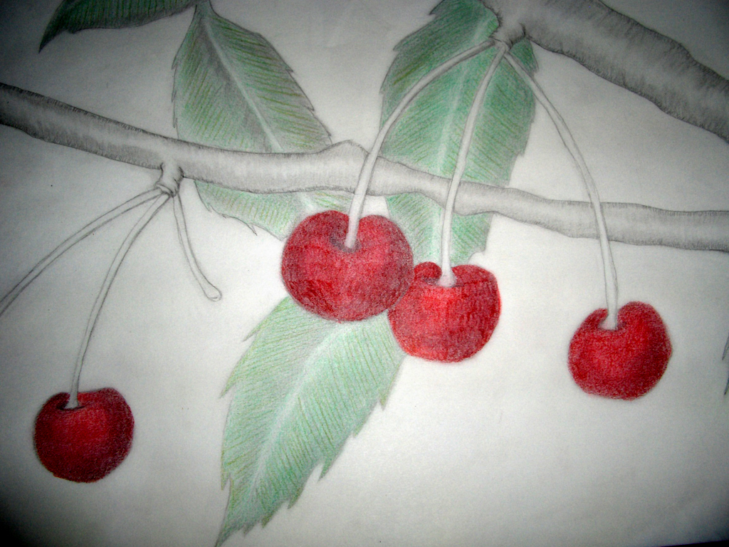 Fonds d'cran Art - Crayon Fleurs - Feuilles - Fruits 