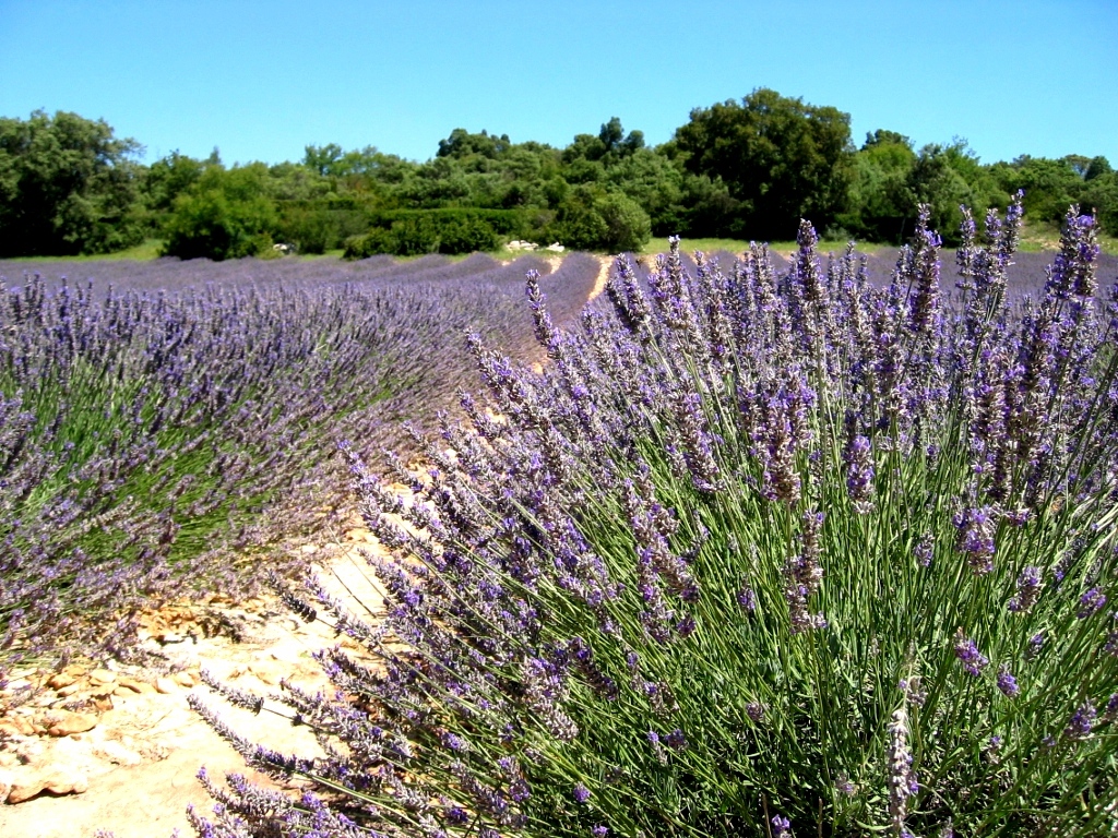 Wallpapers Trips : Europ France > Ardeche Saint Remze