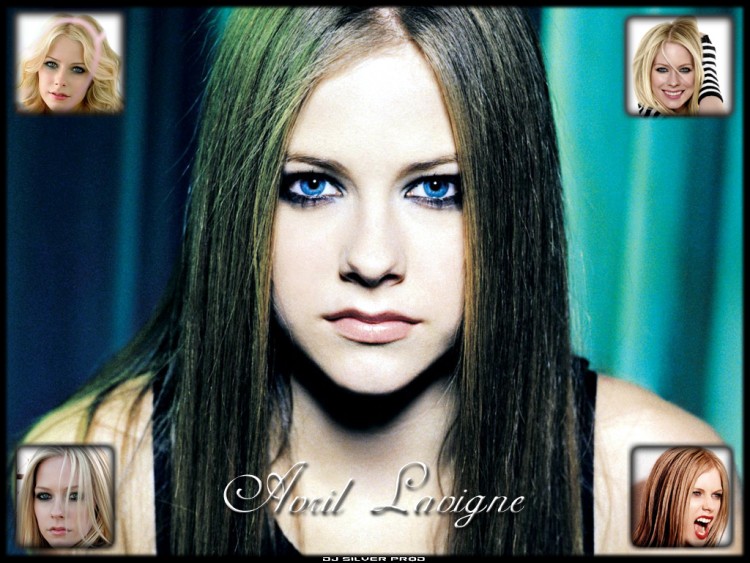 Wallpapers Music Avril Lavigne Avril Lavigne