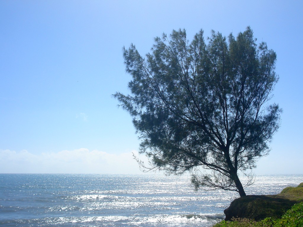 Fonds d'cran Nature Mers - Ocans - Plages COTE EST