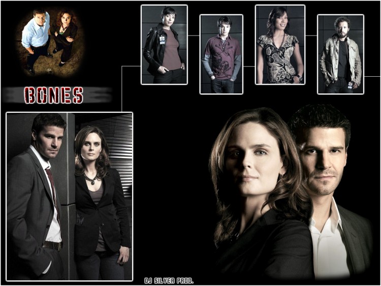 Wallpapers TV Soaps Bones Bones