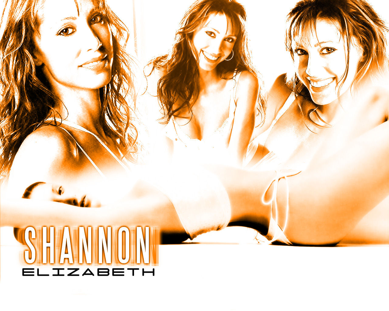 Wallpapers Celebrities Women Shannon Elizabeth 