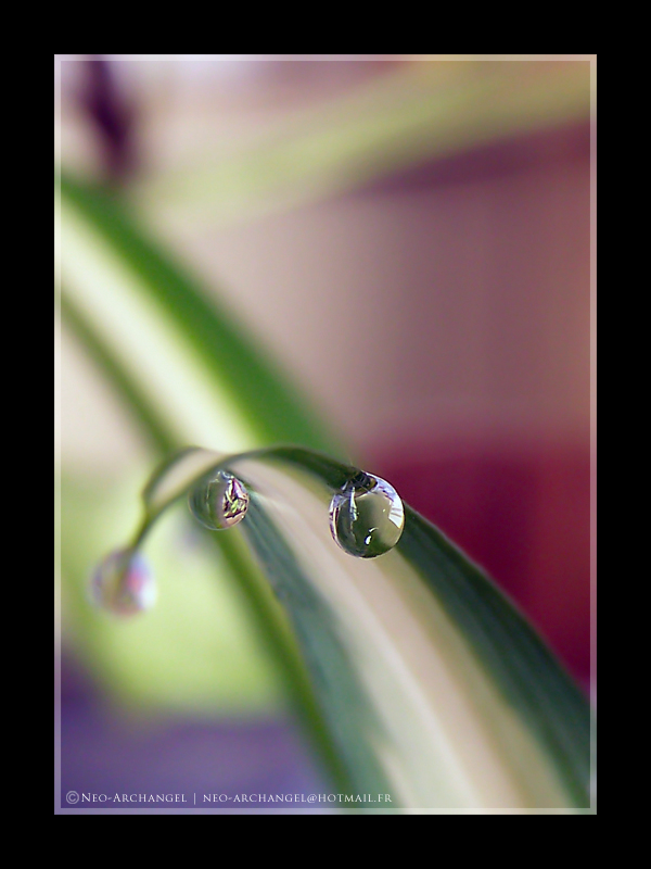 Fonds d'cran Nature Eau Puret