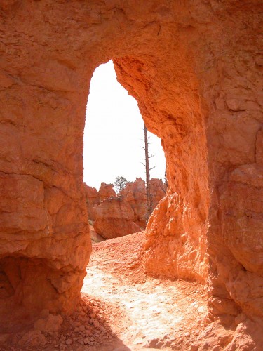 Fonds d'cran Voyages : Amrique du nord Etats-Unis Brice Canyon mai 2005