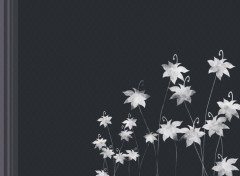 Wallpapers Digital Art Flowers