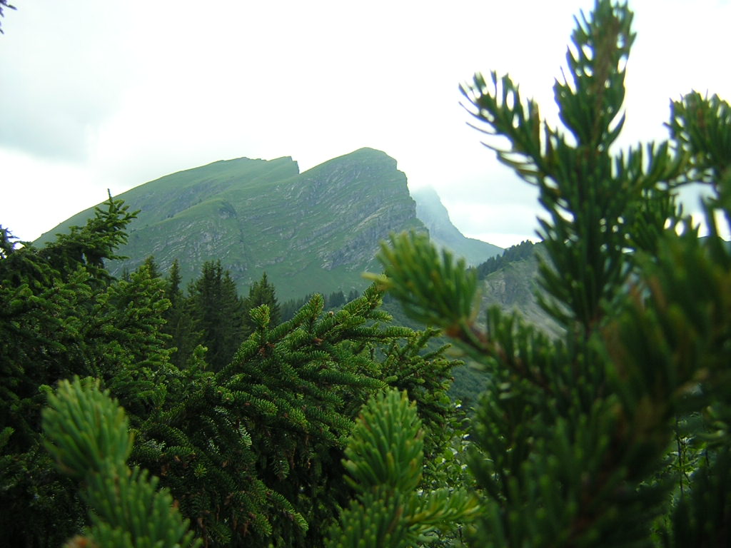 Fonds d'cran Nature Montagnes Col de Bassachaux