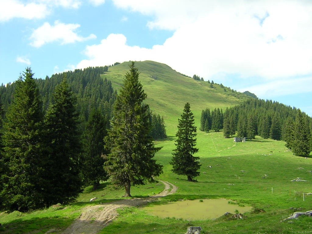 Fonds d'cran Nature Montagnes Morgin en Suisse