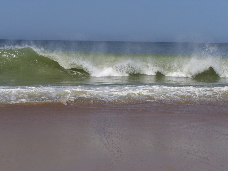 Fonds d'cran Nature Mers - Ocans - Plages Vague