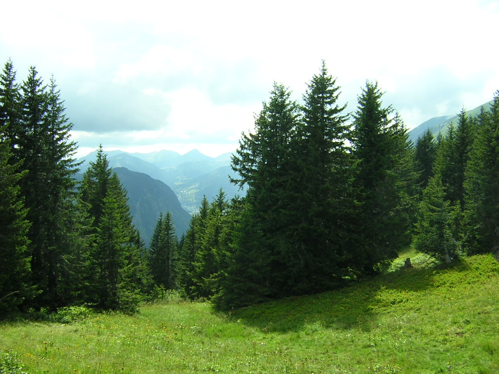 Fonds d'cran Nature Montagnes Col de Bassachaux