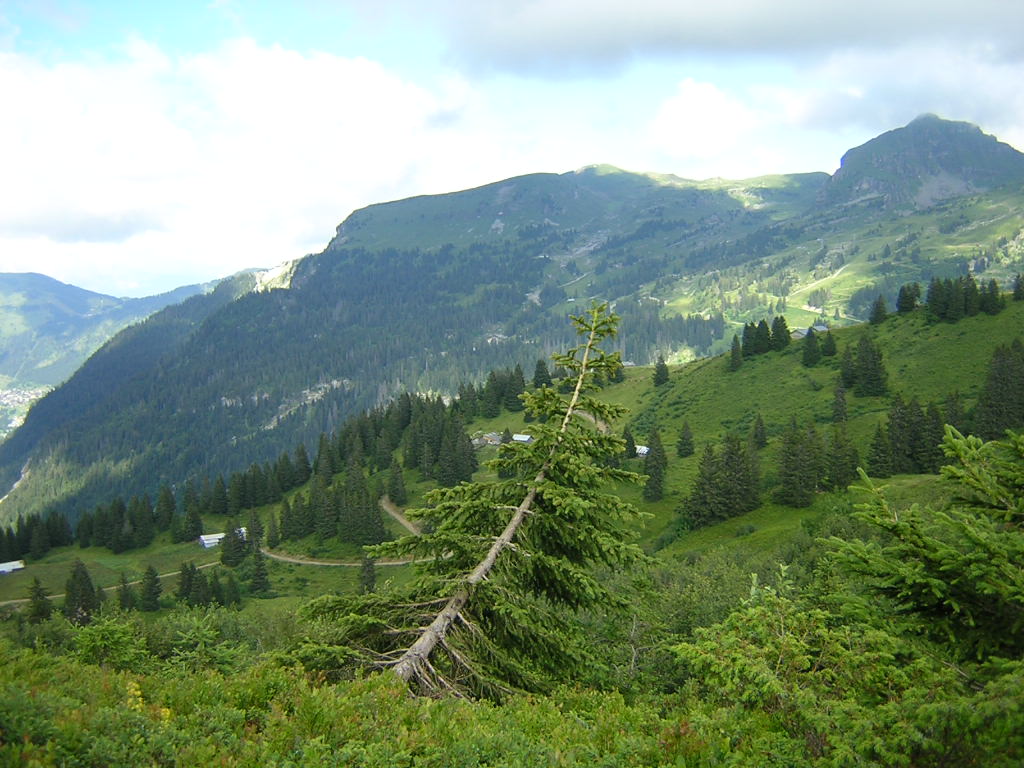 Wallpapers Nature Mountains Col de Bassachaux