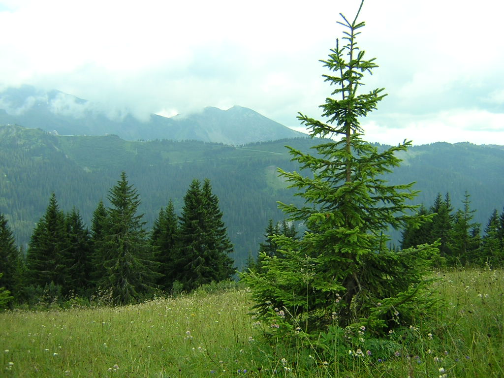 Fonds d'cran Nature Montagnes Col de Bassachaux