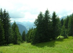 Wallpapers Nature Col de Bassachaux