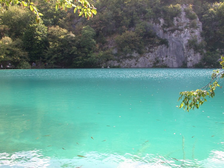 Wallpapers Nature Lakes - Ponds Eau sauvage