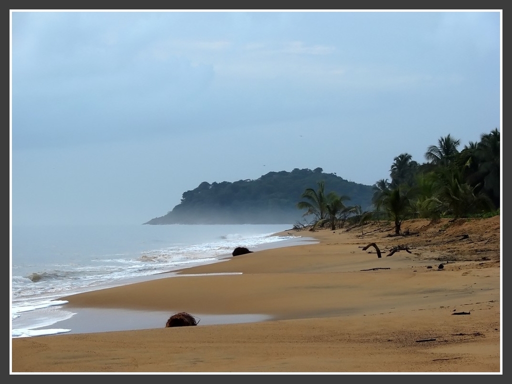 Wallpapers Nature Seas - Oceans - Beaches Salines de Cayenne