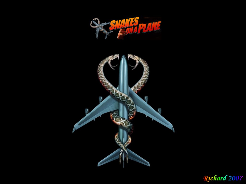 Fonds d'cran Cinma Des Serpents dans l'Avion Snakes on a plane