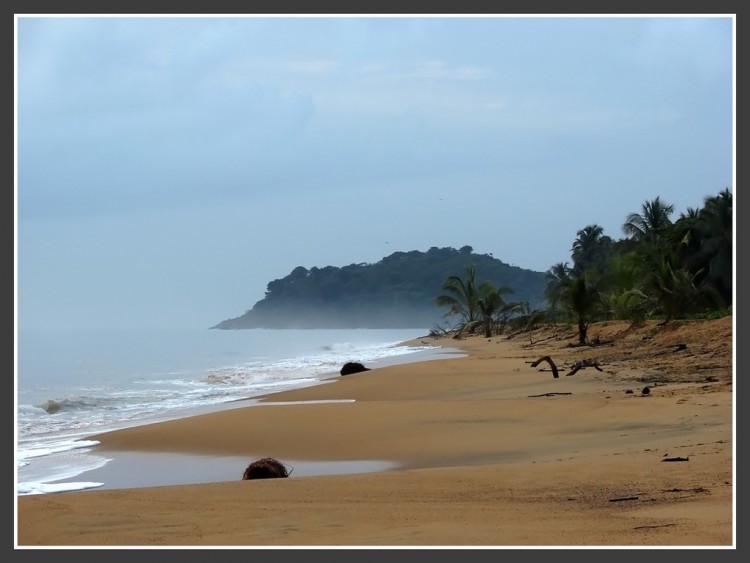 Fonds d'cran Nature Mers - Ocans - Plages Salines de Cayenne