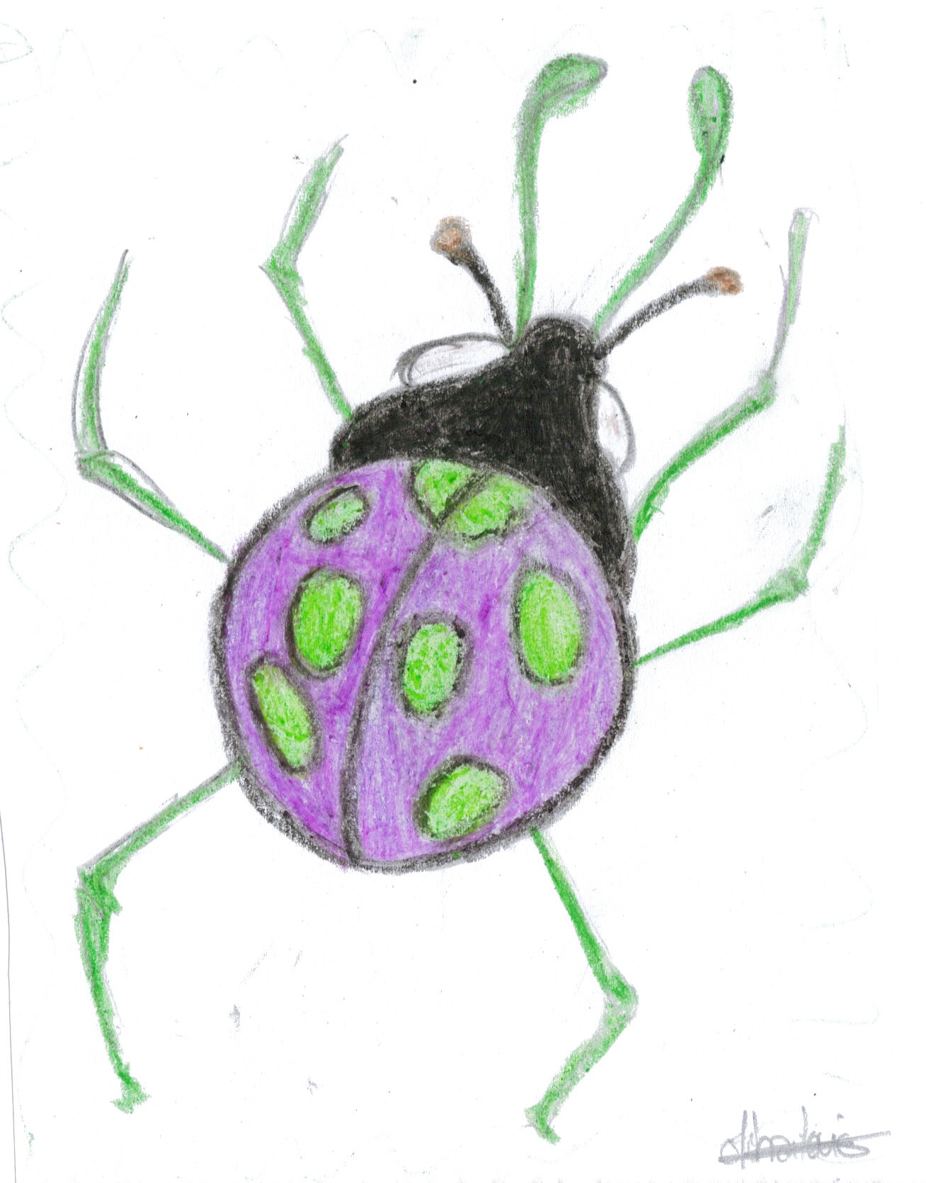 Fonds d'cran Art - Crayon Animaux - Insectes coccinelle