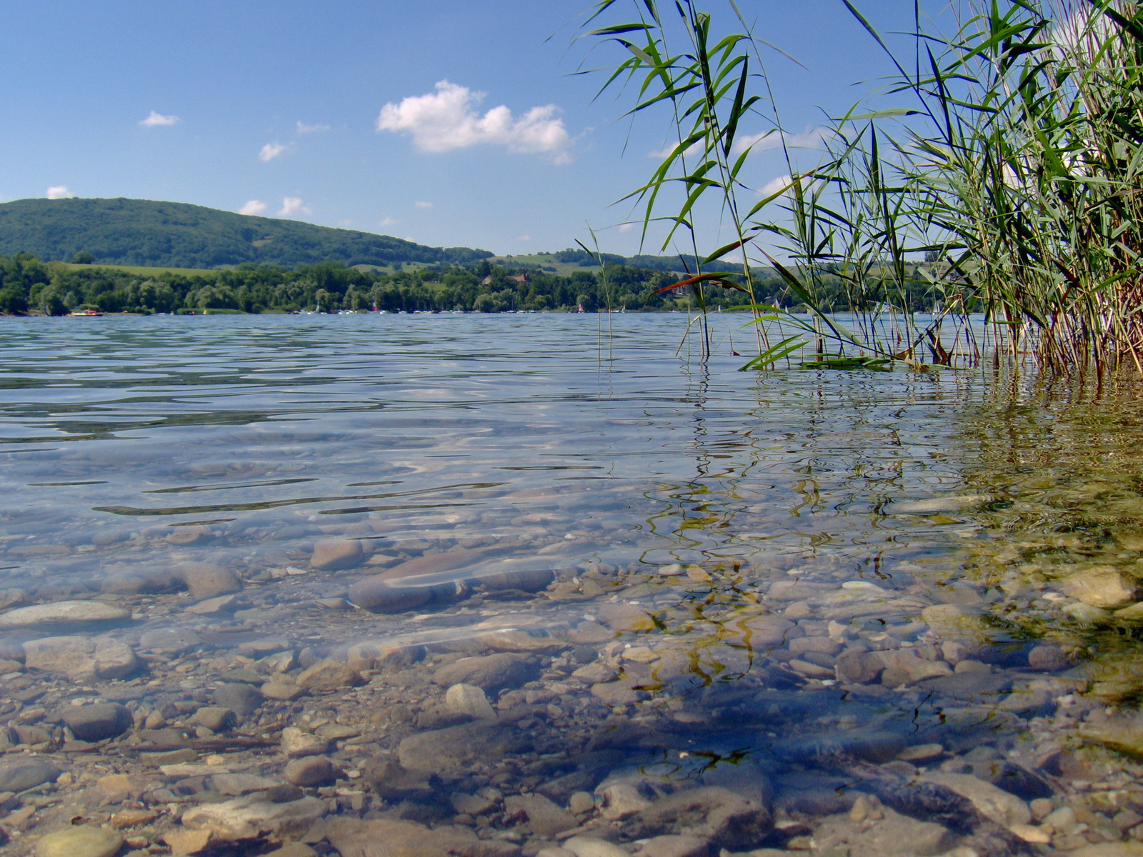 Wallpapers Nature Lakes - Ponds Venez au bord du lac du Paladru