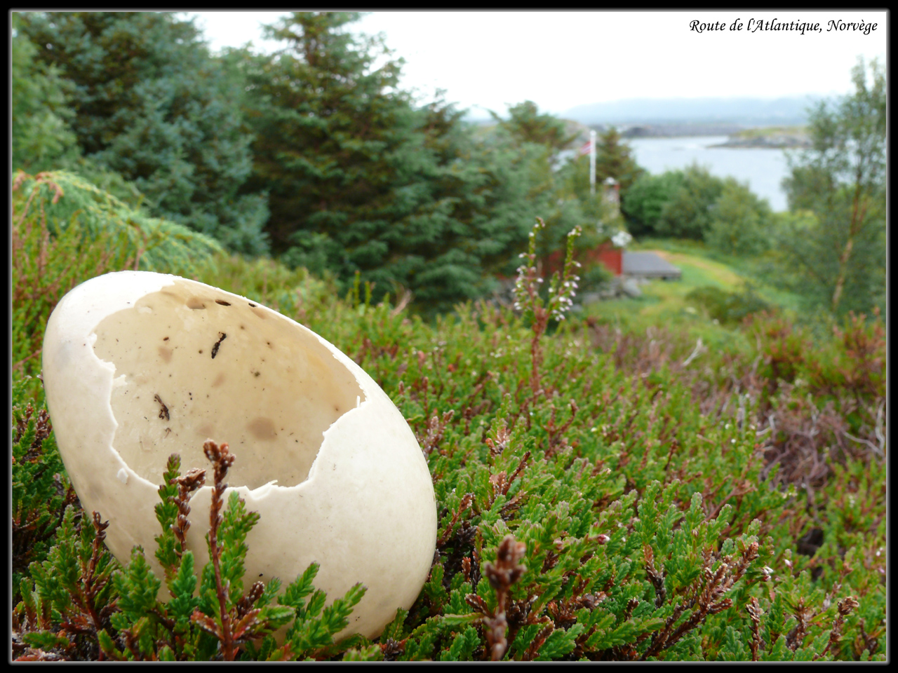 Wallpapers Trips : Europ Norway Sur la route de l'Atlantique