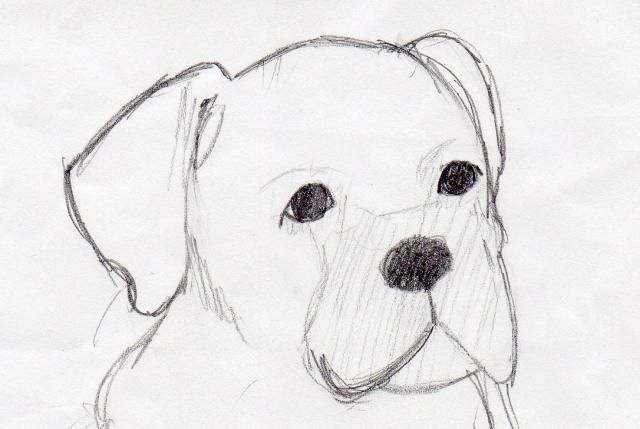 Fonds d'cran Art - Crayon Animaux - Chiens Ria