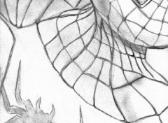 Wallpapers Art - Pencil Spiderman Graphite