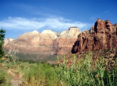 Fonds d'cran Voyages : Amrique du nord Parc Zion