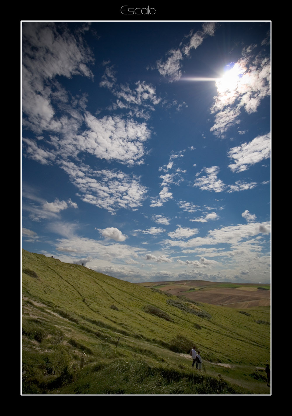 Wallpapers Nature Landscapes Prairie du Pas de Calais