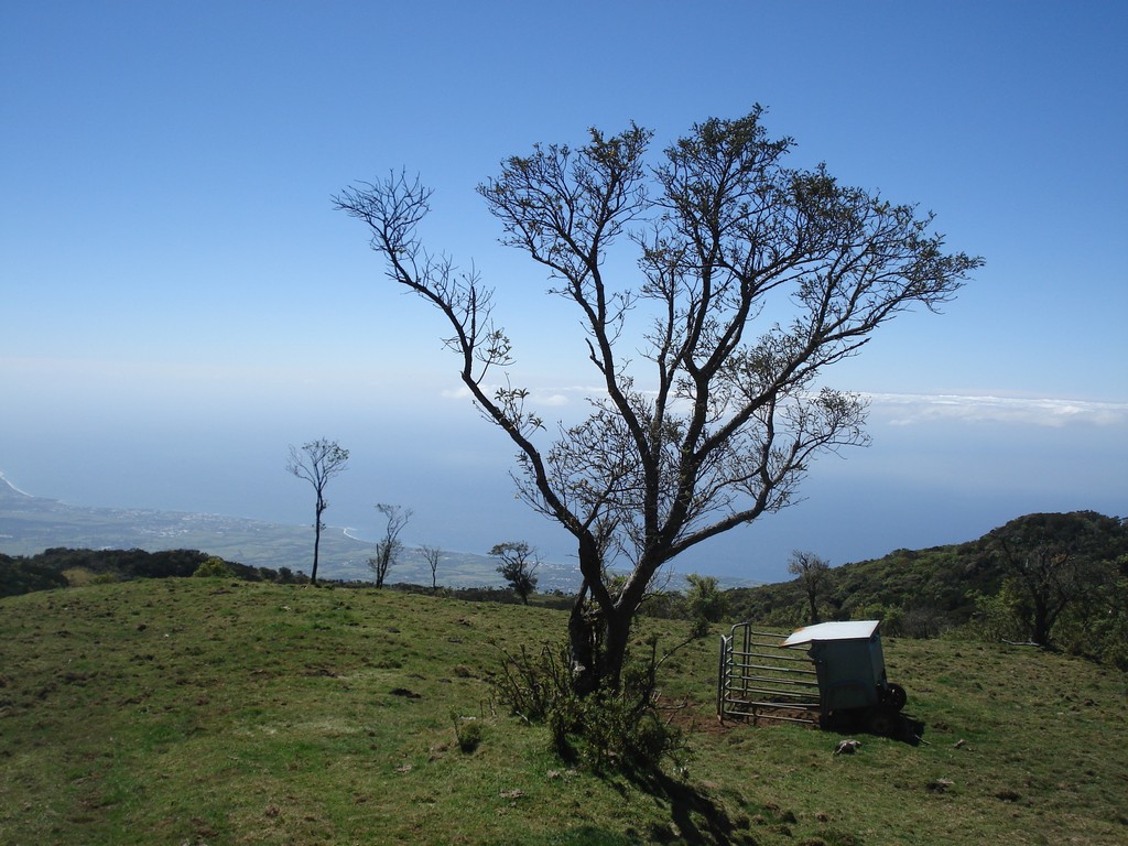 Fonds d'cran Nature Paysages PATURAGES