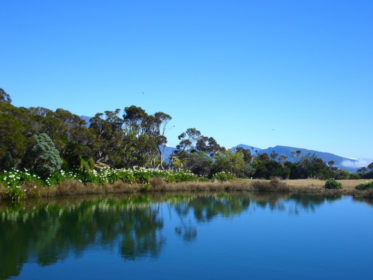 Wallpapers Nature Water - Reflection PITON DE L'EAU