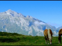 Wallpapers Trips : Europ Col de Soulor