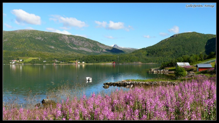 Wallpapers Trips : Europ Norway Gullesfjorden