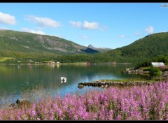 Fonds d'cran Voyages : Europe Gullesfjorden